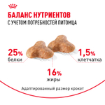 Royal Canin Pug Adult Мопс Эдалт Корм сухой для взрослых собак породы Мопс от 10 месяцев 1,5кг