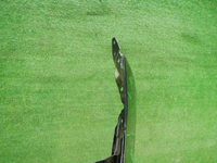 DSCN9348.jpg