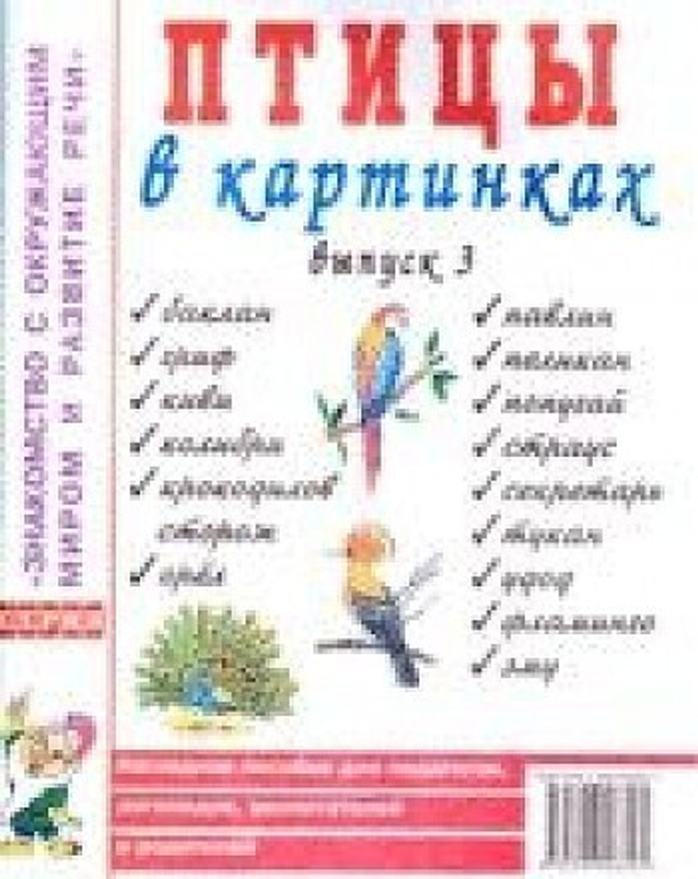 Птицы в картинках. Выпуск 3. Наглядное пособие для педагогов, логопедов, воспитателей и родителей. И 9785001600473