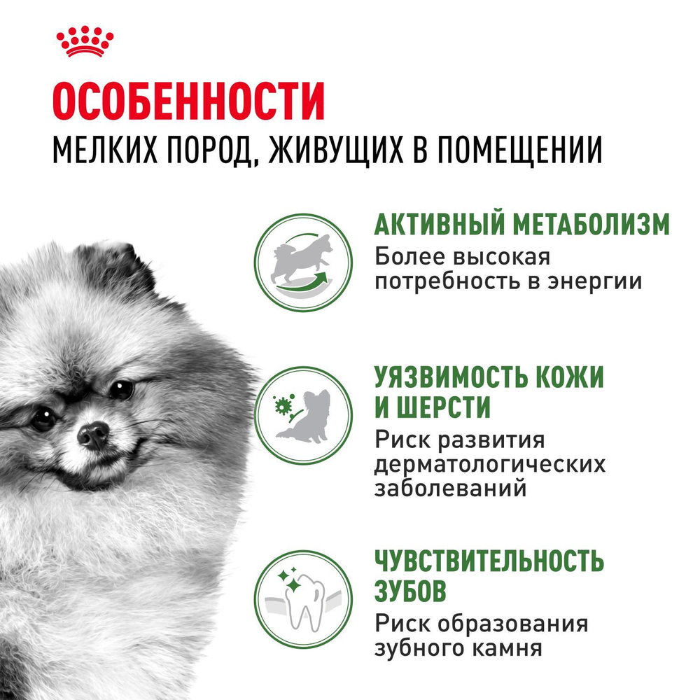 Royal Canin Mini Indoor Adult Мини Индор Эдалт Корм сухой для взрослых собак мелких пород в возрасте от 10 месяцев живущих в помещении 500г
