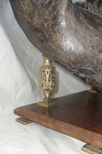 Челюсть мамонта (mammoth jaw)