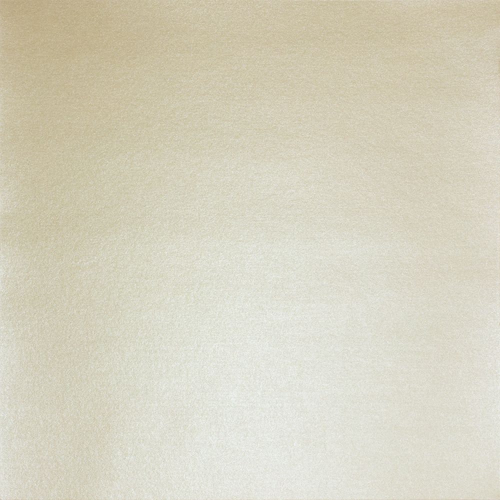 Бумага для скрапбукинга 250 гр/м², 30.5х30.5 см, 10 шт, 02 Шампань, Mr.Painter PSTM Бумага для скрапбукинга 250 гр/м², 30.5х30.5 см, 10 шт, 02 Шампань, Mr.Painter PSTM