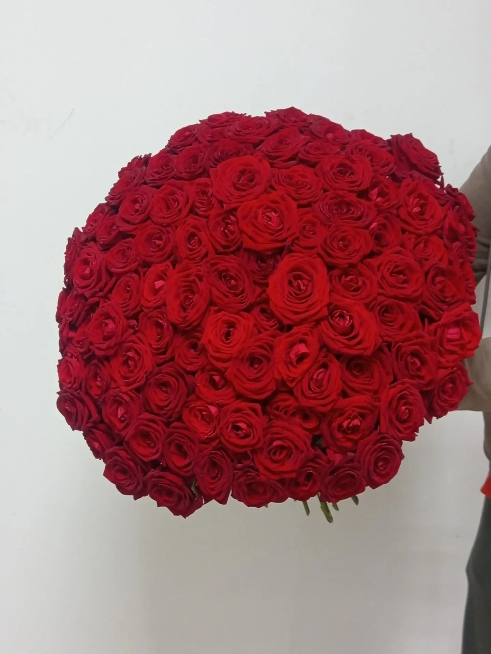 Монобукет из 101 красной розы