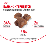 Royal Canin Mother&Babycat Мазэ энд Бэбикэт Корм сухой для котят в период первой фазы роста и отъема беременных и кормящих кошек 2кг