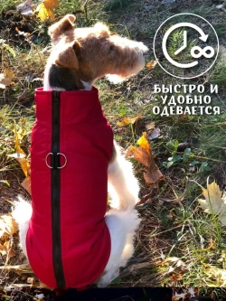 Жилет для собак мелких средних крупных пород