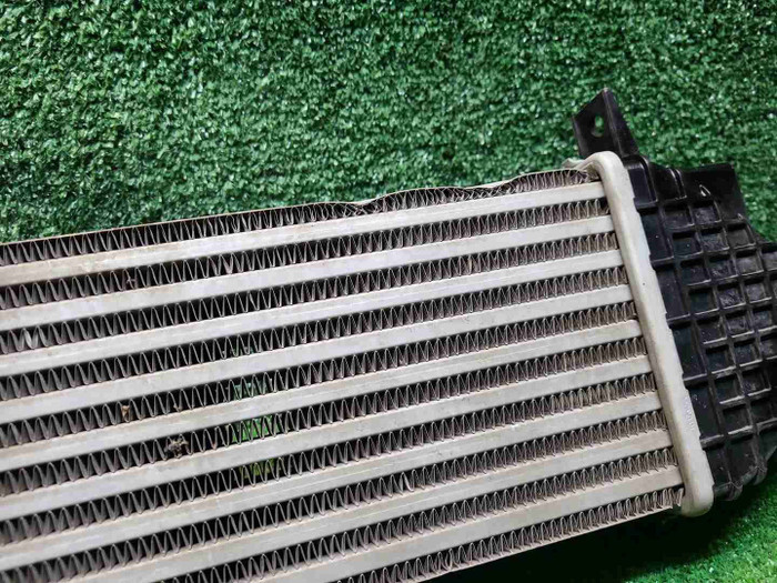 IMG_20251030_234821.JPG