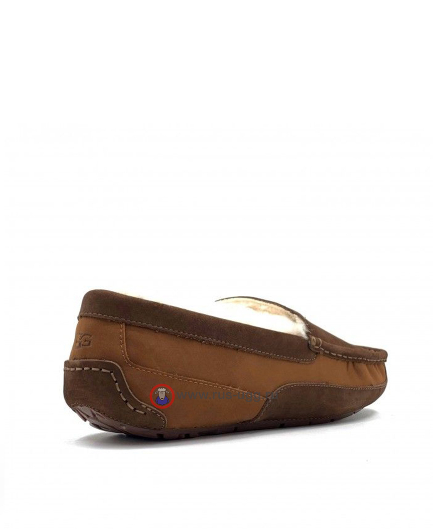 ASCOT MENS cognac