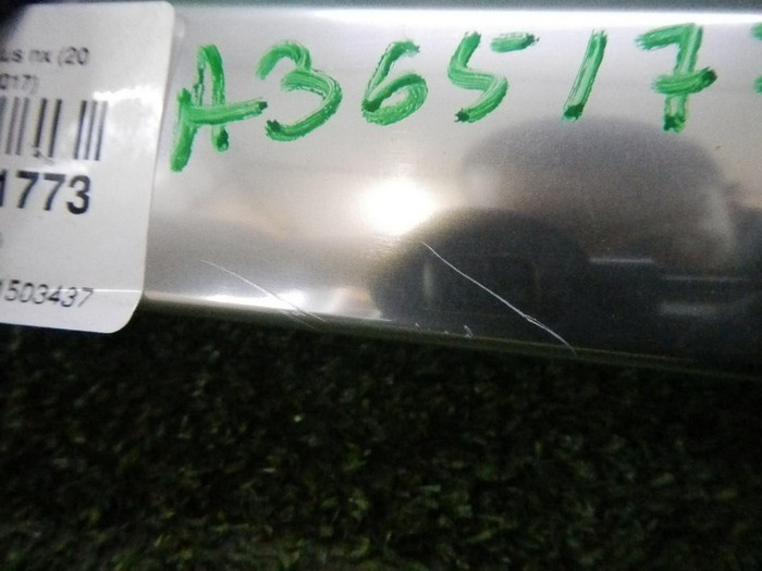 DSCN6842.jpg