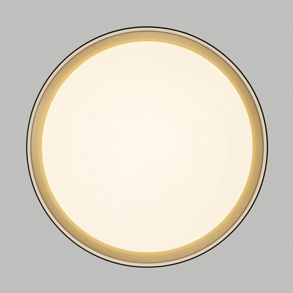 Накладной светильник Citilux BOSS CL751351G