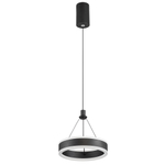 Citilux Дуэт CL719011 LED Подвесной светильник Чёрный