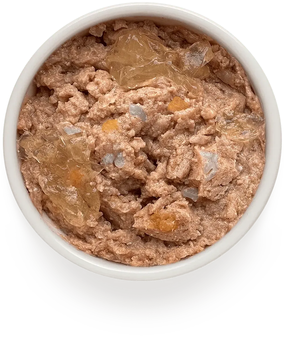 Консервы GRANDORF FRESH для собак, паштет из говядины с цукини и морковью