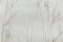 Отр