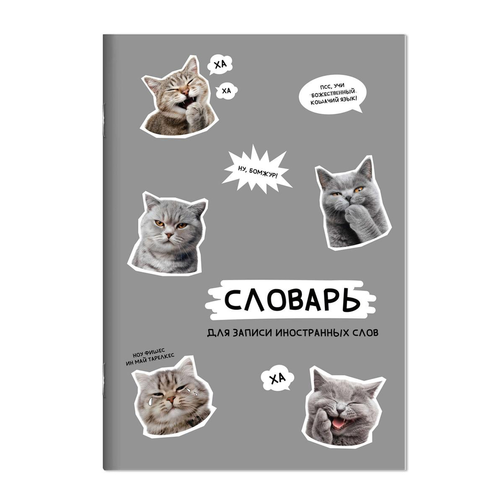 Тетрадь А5 24л. для записи иностранных слов "Стикеры с котами" мелов.картон, вн.блок - белый офсет (