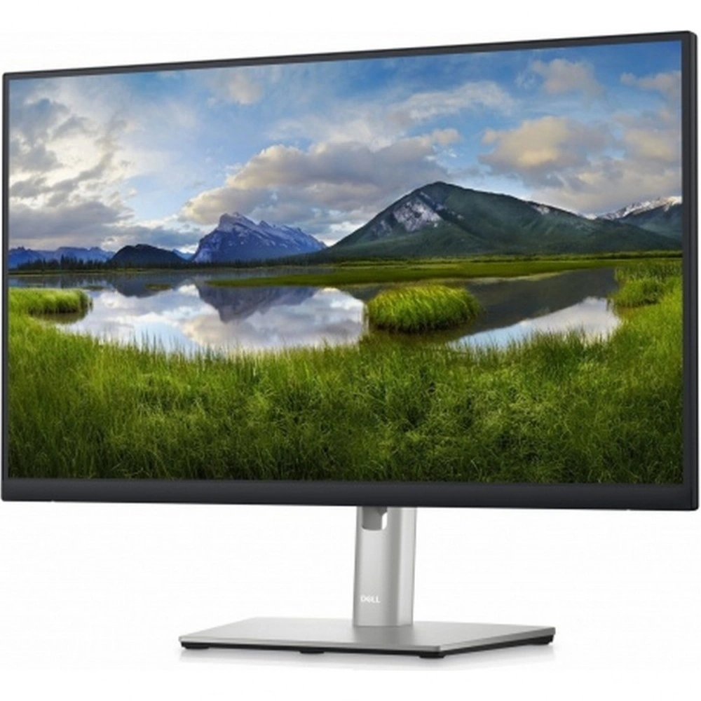 Монитор Dell 23.8" P2423DE черный IPS (210-BDDW)
