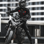 Черепаха Motowolf