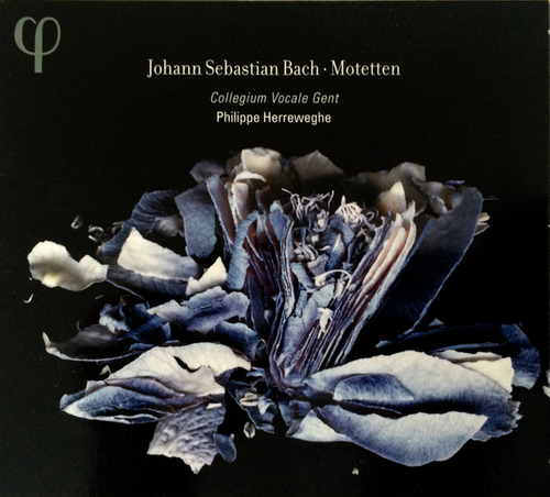 [CD] Philippe Herreweghe, Collegium Vocale - J.S. Bach: Motetten