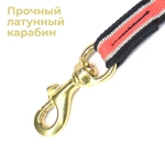 Шейник для упряжки собак