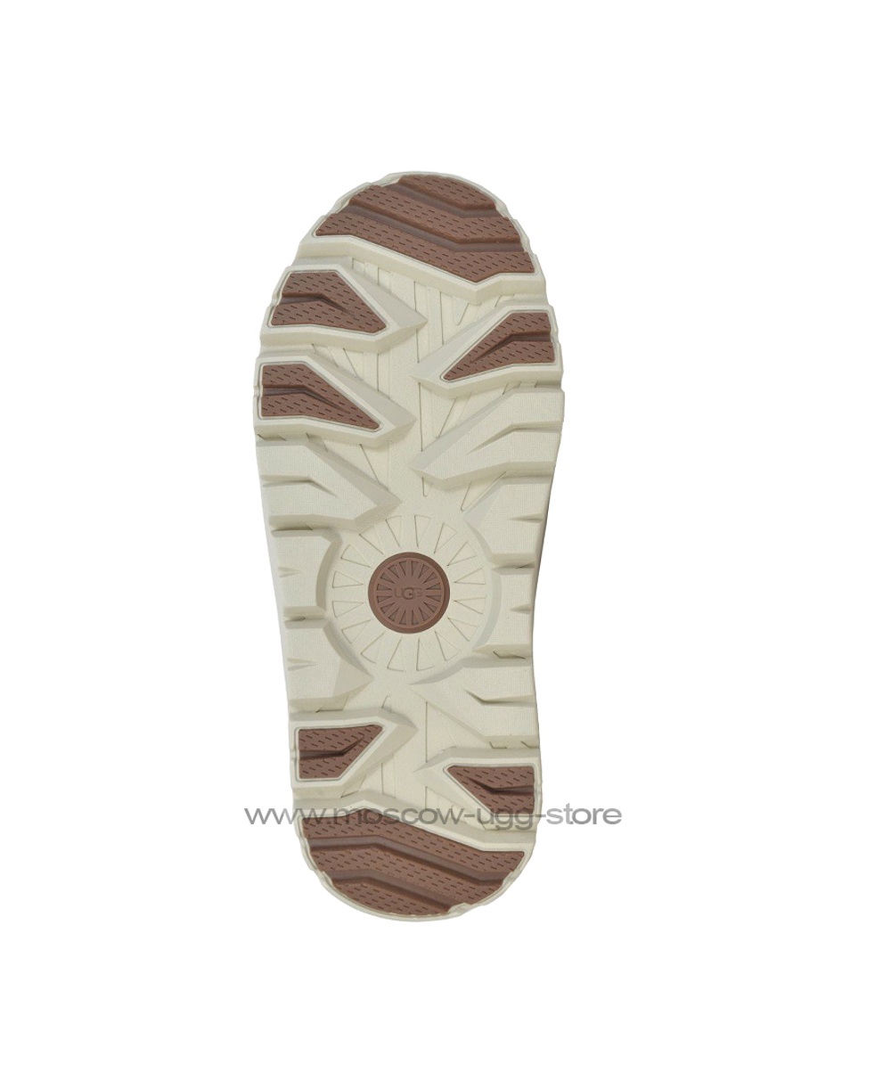 TAZZ HYBRID - chestnut white
