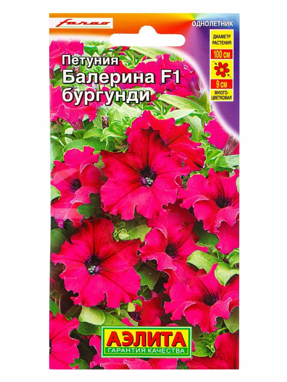 Петуния Балерина бургунди крупноцветковая F1 7 шт (Аэлита)