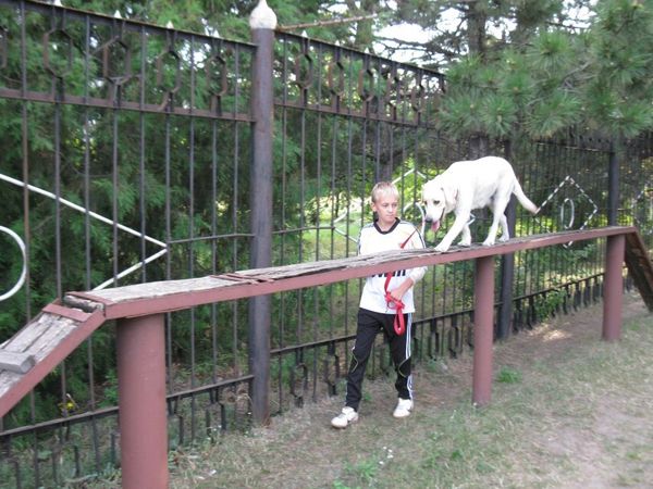 Правильное воспитание залог вашего спокойствия Правильное воспитание залог вашего спокойствия