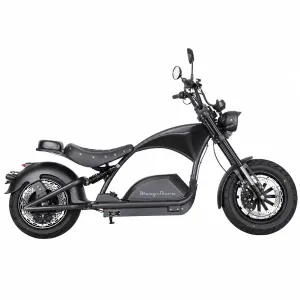 Дополнительное заднее сиденье для модели M1PS/ M1P/ M1P Plus (custom) (ПОД ЗАКАЗ)