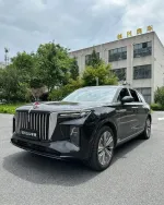 Сиденья капитанские кресла для Hong Qi E-HS9 Хогчи Капитанские сидение VIP декор