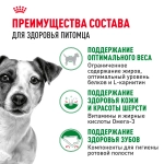 Корм сухой для взрослых собак мелких и средних пород, 2кг Royal Canin MINI ADULT