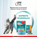 Курица с морковью, влажный корм для кошек с чувствительным пищеварением Purina ONE 75г