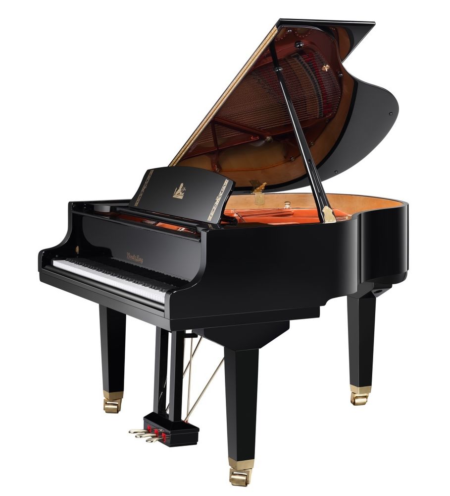 Wendl&amp;Lung W162BK