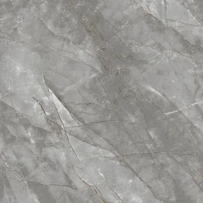 Керамогранит Primavera Vezin Grey Polished 60x60 см (PR153)