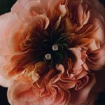 Серьги Кристал Сёркл с розовым халцедоном / Crystal Circle