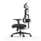 FoxGear NETZ XO Office Edition Black