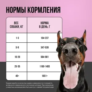 Консервы BOWL WOW для взрослых собак всех пород с индейкой и тыквой