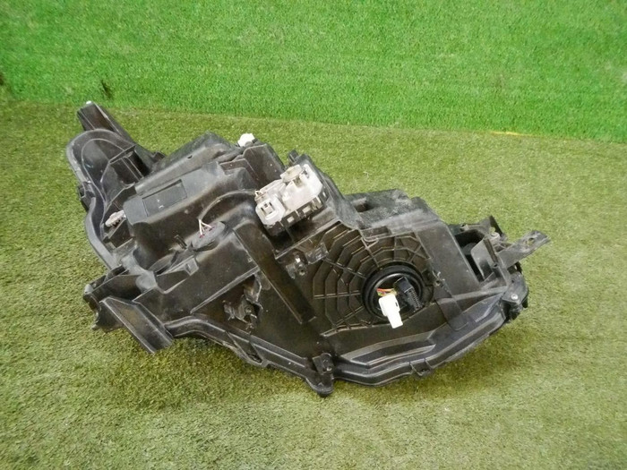 DSCN5492.jpg