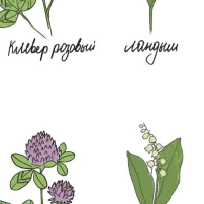 Атлас цветов