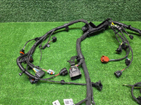 IMG_20260914_162005.JPG