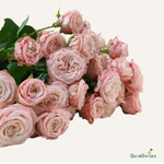 Фон карточки (15).png