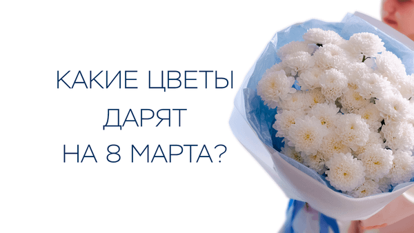 Какие цветы дарят на 8 марта? Какие цветы дарят на 8 марта?