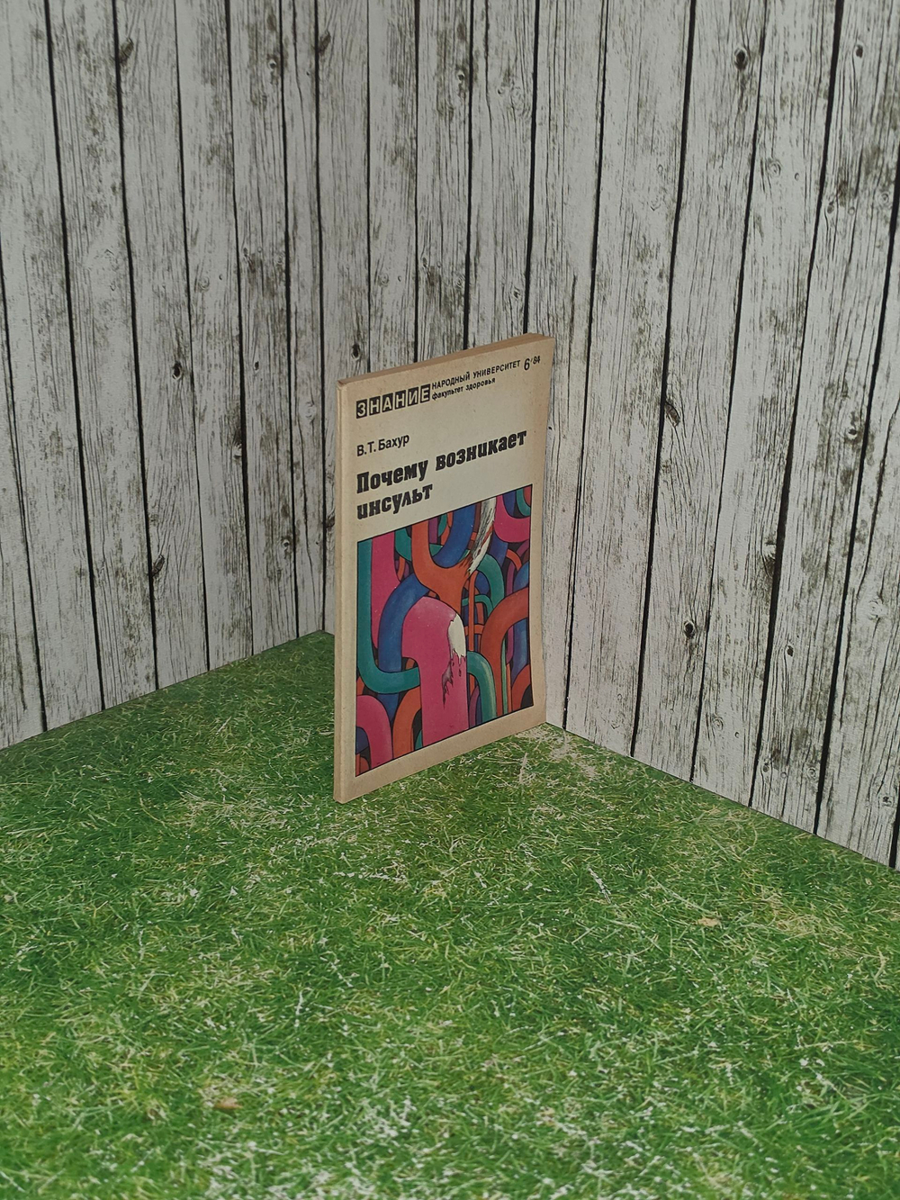 книга " Почему возникает инсульт "