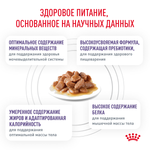 Royal Canin Neutered Maintenance Ньютрид Мейнтаненс Корм влажный для взрослых котов и кошек с момента стерилизации до 7 лет соус 85г