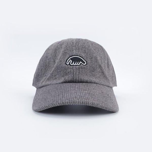 Кепка Anteater 6Panel (velvet-grey) артикул: - купить в магазине Дайс