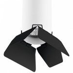 Накладной светильник Lightstar Rullo R486437
