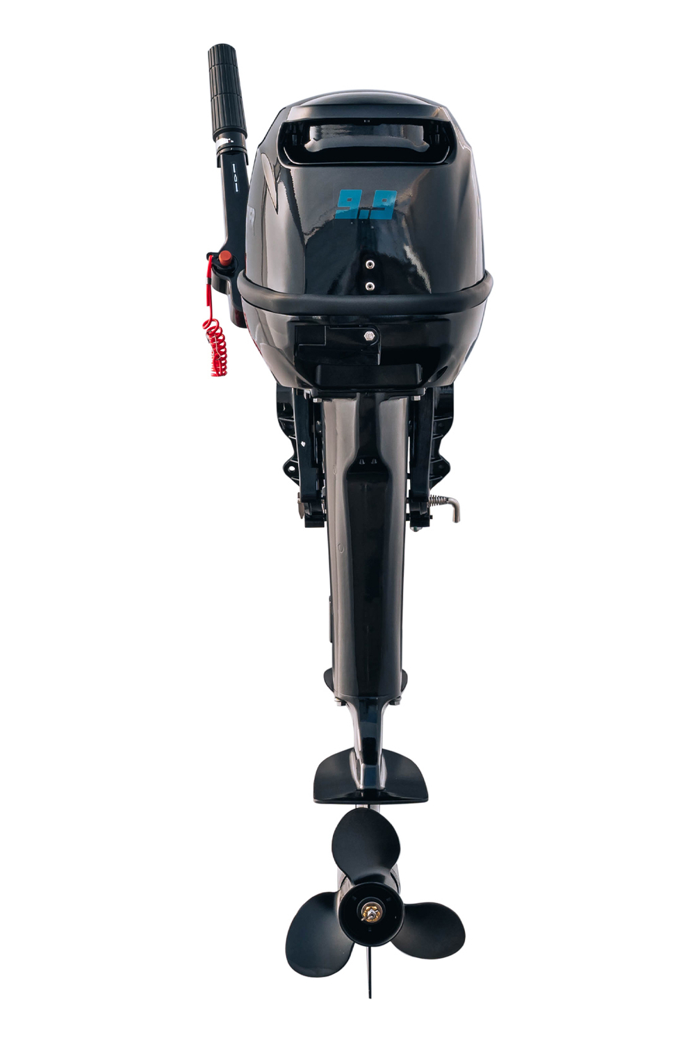 Лодочный мотор Reef Rider RR9.9FHS (12V)