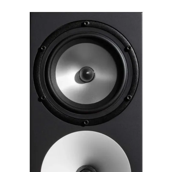 Amphion Two15 Black