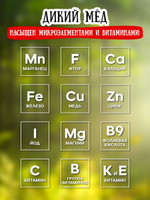 Мёд натуральный дикий, 700 г