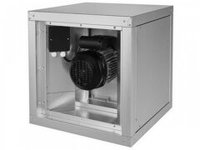 IEF 250D