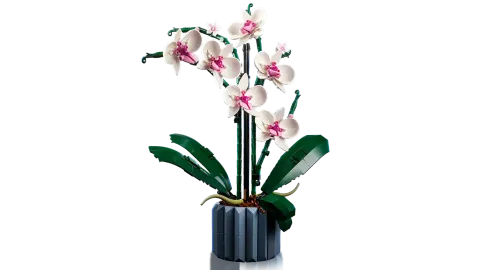 Конструктор LEGO Botanical Collection 10311 Орхидея