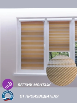 Рулонные шторы День-Ночь Зебра 60х150 см