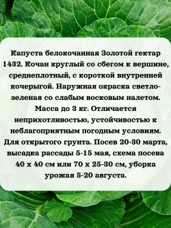 Семена капуста белокочанная Золотой гектар 1432 5 гр