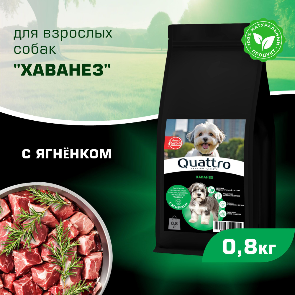 Корм сухой для взрослых собак породы Хаванез, с ягненком, 800 гр, QUATTRO
